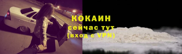 не бодяженный Горно-Алтайск