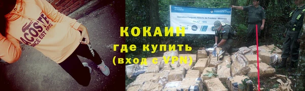 ГАЛЛЮЦИНОГЕННЫЕ ГРИБЫ Гусев