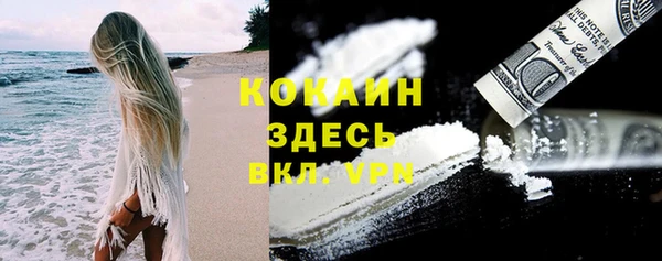 соль ск Горнозаводск