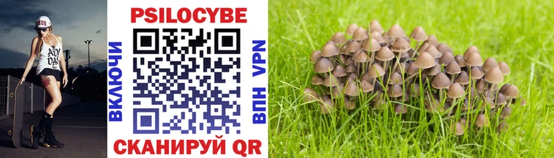Галлюциногенные грибы Psilocybine cubensis  где продают наркотики  Дальнегорск 